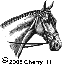 (c)1998 Cherry Hill - English Horse - For the English Rider - English training and riding, tack, bridles, bits, grooming, training, longeing, lungeing, long lining, driving, English Equitation Patterns, aids for dressage, arena exercises including lateral work, collection, barn design, stable management, hoof care, shoeing, lameness, health care, nutrition and more. 