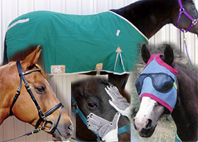 Horse Blankets and other tack