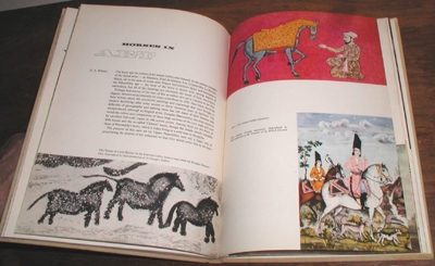 Horses, Horses, Horses by Paul Hamlyn