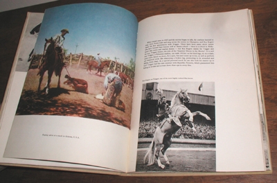 Horses, Horses, Horses by Paul Hamlyn
