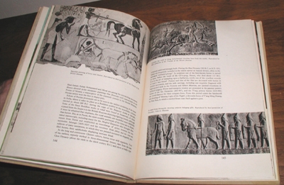 Horses, Horses, Horses by Paul Hamlyn