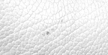 Dooney and Bourke All-Weather Hand Bag