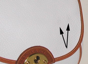 Dooney and Bourke All-Weather Leather Saddle Bag