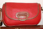 Dooney and Bourke Snaffle Handbag