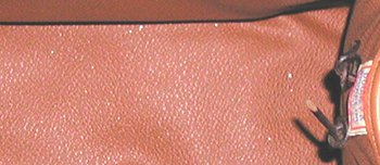 Dooney and Bourke All-Weather Hand Bag