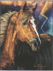 Leanin' Tree Blank Note Cards from Horsekeeping.com