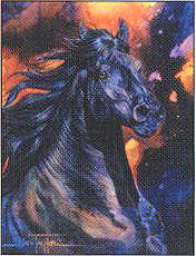 Leanin' Tree Blank Note Cards from Horsekeeping.com