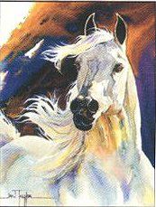 Leanin' Tree Blank Note Cards from Horsekeeping.com