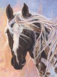 Leanin' Tree Blank Note Cards from Horsekeeping.com