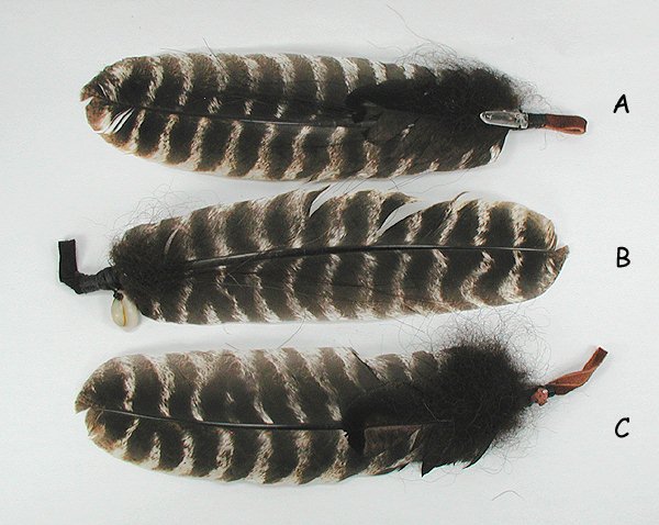 Oglala Lakota Feather and Horse Hair  Ties
