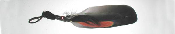 Oglala Lakota Feather and Horse Hair  Ties
