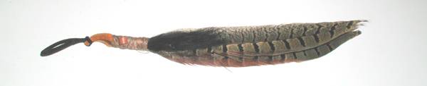 Oglala Lakota Feather and Horse Hair  Ties