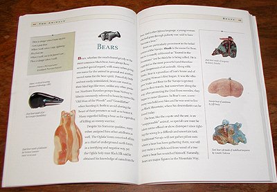 Zuni Fetishes and Carvings  book