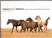 Among Wild Horses book cover