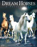 Dream Horses Poster book
