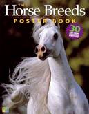 Horse Breeds Poster Book