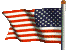 American Flag flies for horse freedom.