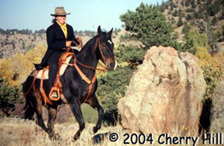 Cherry with foal