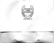 The Authentic Lucky Horseshoe