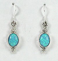 Oglala Lakota rawhide Earrings