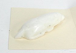 Hand made Native American Indian Mole Fetish