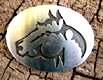 sterling,silver,pin,Navajo,Hopi,Zuni,kokopeli,pendant,bracelet,necklace,Indian,horse,,jewelry,gift,native,american,navajo,opal,turquoise,onyx,lapis,coral, pony,appaloosa,lapel, horses, Cherry Hill