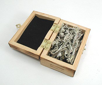 Horse Spirit Ceremonial Smudge Box