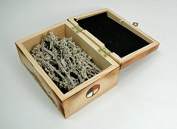 Horse Spirit Ceremonial Smudge Box
