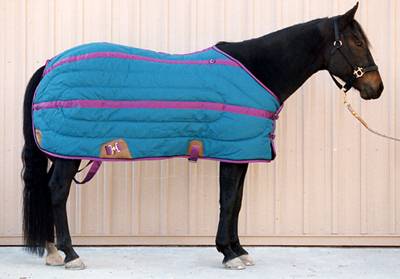 BMB Royal Grand Champion Stable Blanket with Hood - size 80
