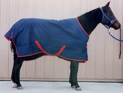 Rambo Midweight Trunout Blanket
