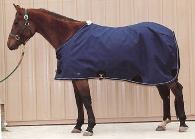 Legacy Turnout Blanket from Toklat