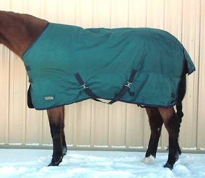 Toklat Yukon Turnout Blanket