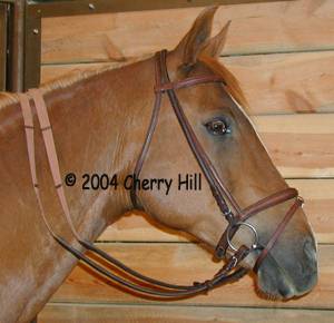 Custom-made German bridle.