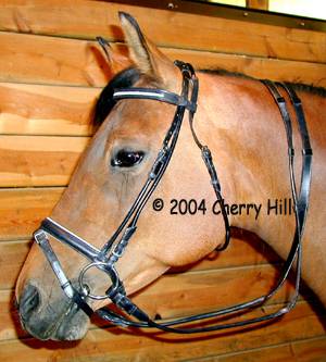 Whitman Englandia Show Snaffle Bridle