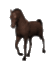 horse walking on pasture