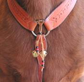 horse riding bells