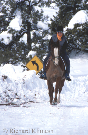 Cherry Hill riding Zinger on a snowy mountain road