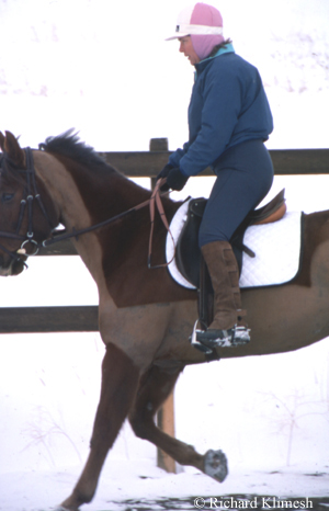 Cherry Hill riding English in the arena with a trace clip