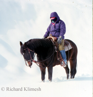 Cherry Hill on Zipper in snow