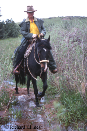 Cherry Hill crossing wet spring on Quarter Horse Zipper