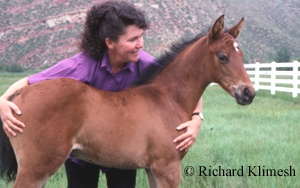 Cherry Hill holding a foal