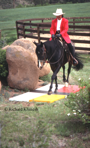 Cherry Hill training Quarter Horse Zipper over a colorful bridge