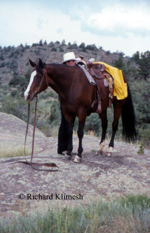 Cherry Hill adjusting gear on ground-tied Sassy