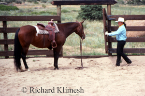 Cherry Hill closing a round pen gate while her horse is ground tied