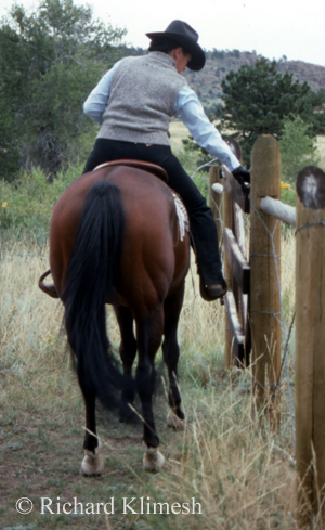 Cherry Hill working a gate from horseback