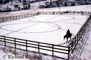 Cherry Hill doing exercise patterns in a snowy arena
