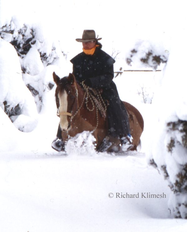 Cherry Hill riding Quarter Horse Zinger in deep snow