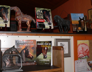 Foreign translations of Cherry Hill horse books