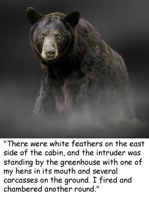 black bear gazing through a mist