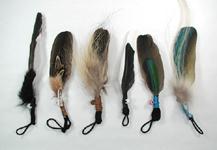 Oglala Lakota feathers